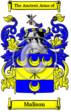 Malison Family Crest/Coat of Arms