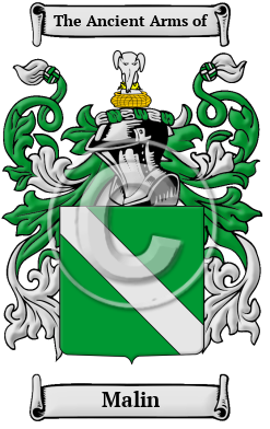 Malin Family Crest/Coat of Arms