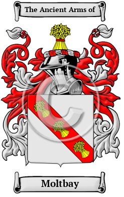 Moltbay Family Crest/Coat of Arms
