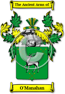 O'Manahan Family Crest Download (jpg) Legacy Series - 150 DPI