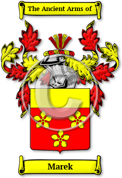 Marek Family Crest Download (jpg) Legacy Series - 150 DPI