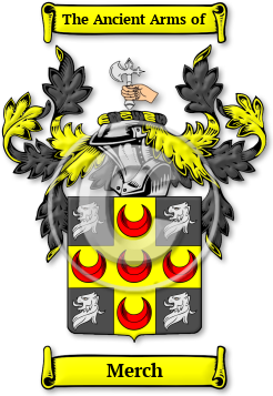 Merch Family Crest Download (jpg) Legacy Series - 150 DPI