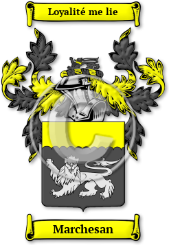 Marchesan Family Crest Download (jpg) Legacy Series - 150 DPI