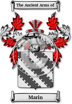 Marin Family Crest Download (JPG) Legacy Series - 600 DPI