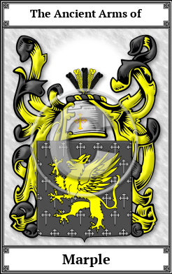 Marple Family Crest Download (JPG) Book Plated - 600 DPI