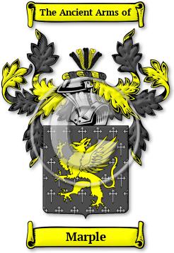 Marple Family Crest Download (JPG) Legacy Series - 600 DPI