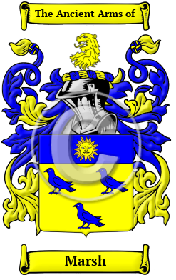 Marsh Name Meaning, Family History, Family Crest & Coats of Arms