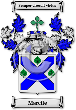 Marcile Family Crest Download (jpg) Legacy Series - 150 DPI