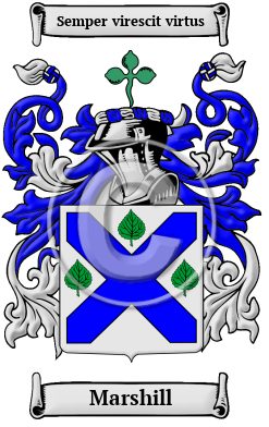 Marshill Family Crest/Coat of Arms
