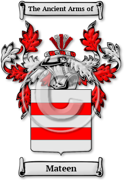 Mateen Family Crest Download (jpg) Legacy Series - 150 DPI