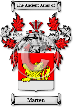 Marten Family Crest Download (jpg) Legacy Series - 150 DPI