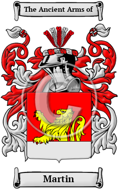 Martin Name Meaning, Family History, Family Crest & Coats of Arms, German