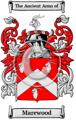 Marewood Family Crest/Coat of Arms