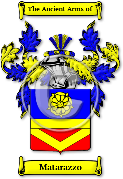 Matarazzo Family Crest Download (jpg) Legacy Series - 150 DPI
