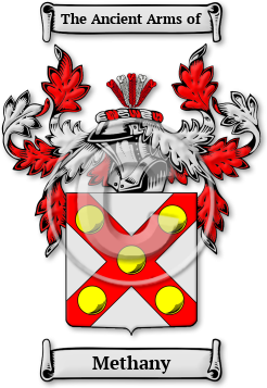 Methany Family Crest Download (JPG) Legacy Series - 600 DPI