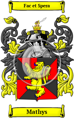 Mathys Family Crest/Coat of Arms
