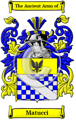 Matucci Family Crest/Coat of Arms