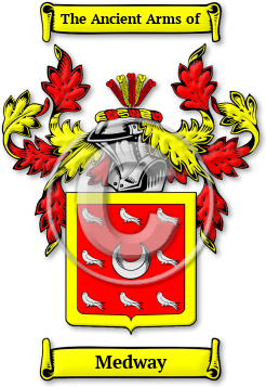 Medway Family Crest Download (JPG) Legacy Series - 600 DPI
