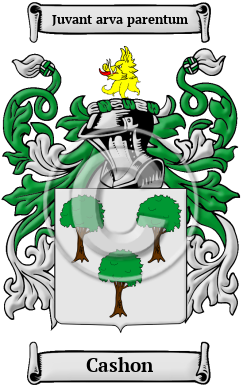 Cashon Family Crest/Coat of Arms
