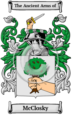 McClosky Family Crest/Coat of Arms