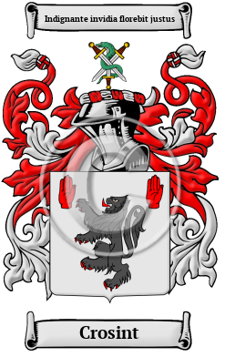 Crosint Family Crest/Coat of Arms