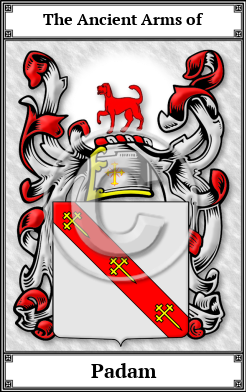 Padam Family Crest Download (JPG)  Book Plated - 150 DPI