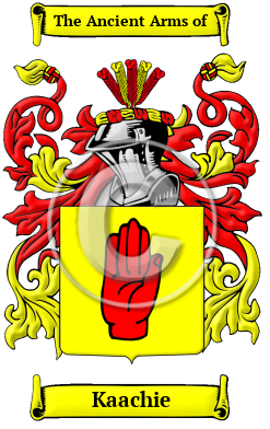 Kaachie Family Crest/Coat of Arms