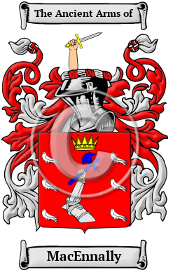 MacEnnally Family Crest/Coat of Arms