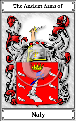 Naly Family Crest Download (JPG)  Book Plated - 150 DPI