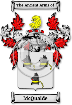 McQuaide Family Crest Download (JPG) Legacy Series - 600 DPI