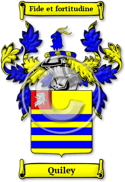 Quiley Family Crest Download (jpg) Legacy Series - 150 DPI