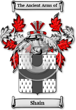Shain Family Crest Download (jpg) Legacy Series - 150 DPI