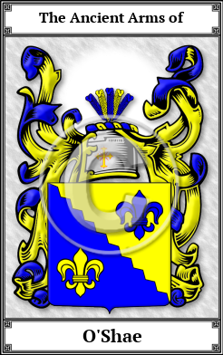 O'Shae Family Crest Download (JPG)  Book Plated - 150 DPI