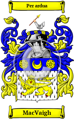 MacVaigh Family Crest/Coat of Arms