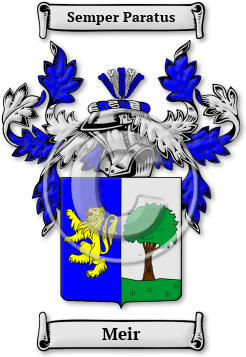Meir Family Crest Download (jpg) Legacy Series - 150 DPI