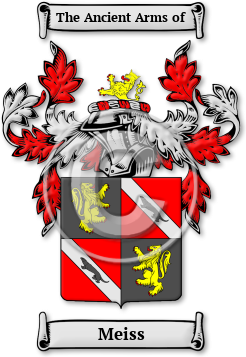 Meiss Family Crest Download (jpg) Legacy Series - 150 DPI