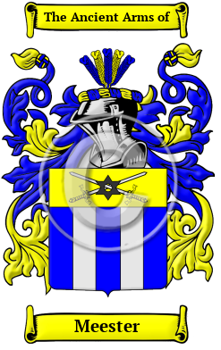 Meester Family Crest/Coat of Arms