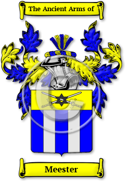 Meester Family Crest Download (jpg) Legacy Series - 150 DPI