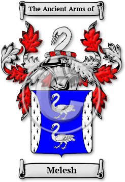 Melesh Family Crest Download (jpg) Legacy Series - 150 DPI