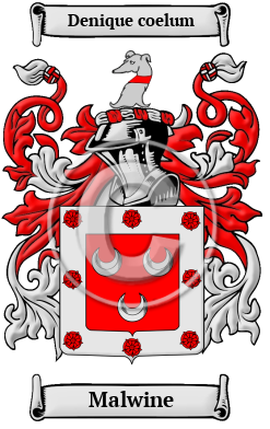 Malwine Family Crest/Coat of Arms