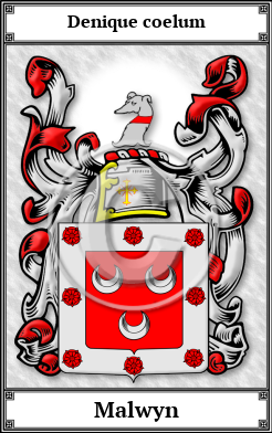 Malwyn Family Crest Download (JPG) Book Plated - 600 DPI