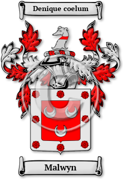 Malwyn Family Crest Download (JPG) Legacy Series - 600 DPI