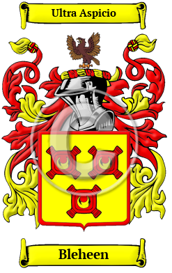 Bleheen Family Crest/Coat of Arms