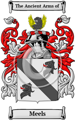 Meels Family Crest/Coat of Arms