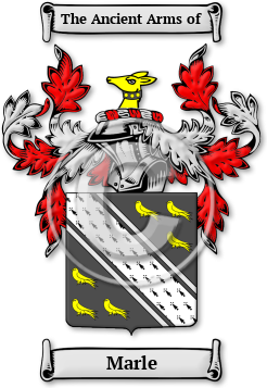 Marle Family Crest Download (JPG) Legacy Series - 600 DPI