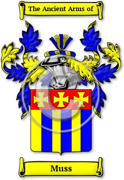 Muss Family Crest Download (jpg) Legacy Series - 150 DPI