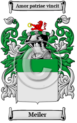 Meiler Family Crest/Coat of Arms