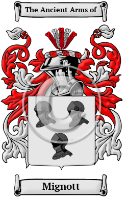 Mignott Family Crest/Coat of Arms