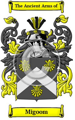 Migoom Family Crest/Coat of Arms
