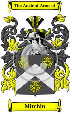 Mitchin Family Crest/Coat of Arms